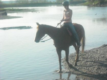 Sa fait du bien se rafraichir dans la rivière apres une...