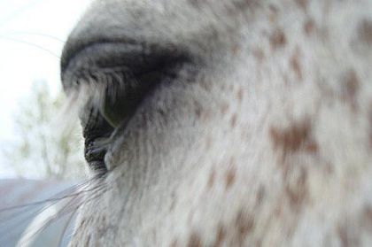 C'est ce regard qui me fait fondre à chaque fois que je le vois...