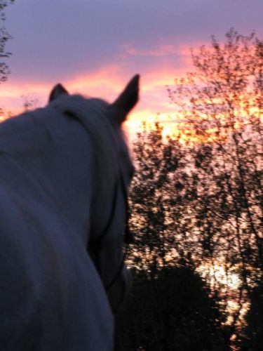 Couch&eacute; de soleil !