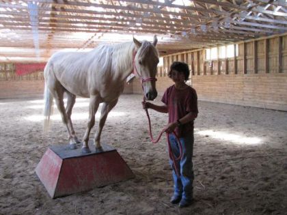Chance 3ans et super gentil 4pattes sur le podium !