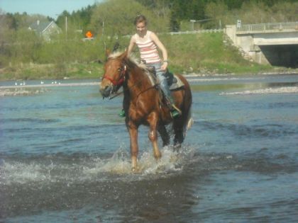 Spirit dans la rivière.