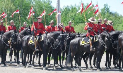 Les Chevaux De La GRC hier 21 Mai A St-Agapit !!!