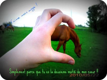 La photo dis tout ...... Sonny, Mon ange gardien a tout jamais !!