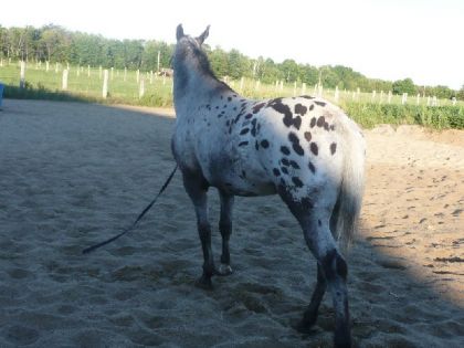 Fancy qui fais la pose.lol