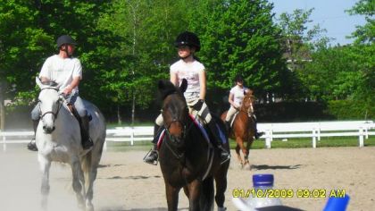 1- Julien et Nocture  2-Rosie et Charmant   3-Joelle et Lily