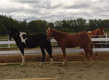 ils sont beaux ensembles hihi :)