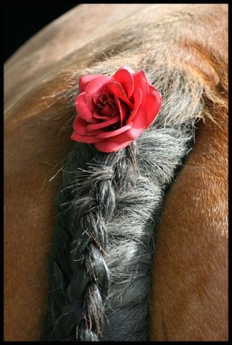 photo par Zoom