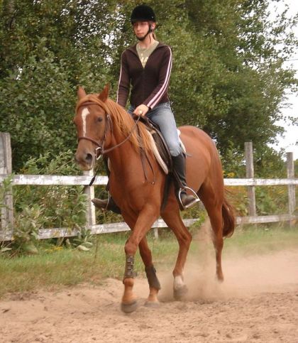Sunshine , une jument qui est à l'entraînement , et moi ce...
