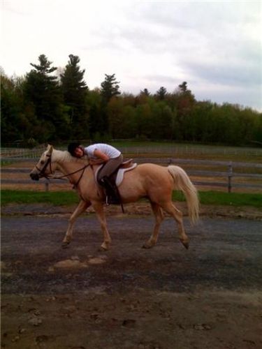 mm chose ici ossi :) je laime tlm!!! Et ye parti o trot...