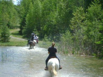 Aller hop dans l'eau ! :)