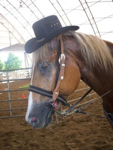 mon beau cowboy... ihih