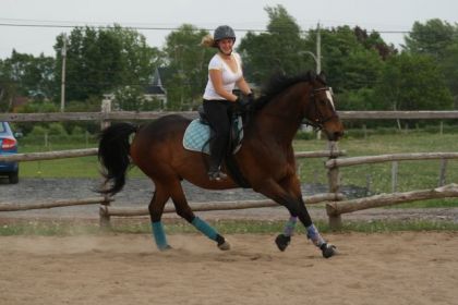 Galop