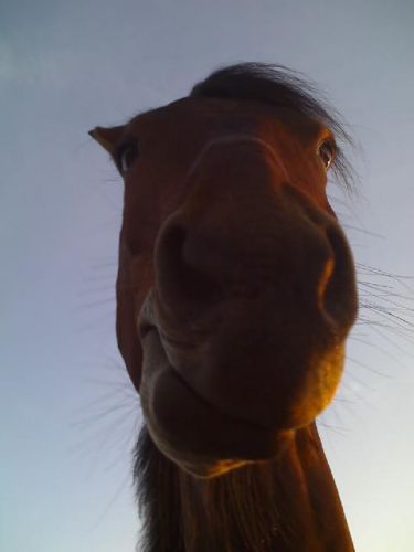 photo par christoune