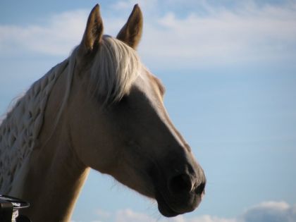 Xtacie la tete dans les nuages...qui reve surement a son prince...