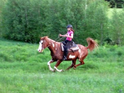 Ma cousine sur Mo et je peux vous dire qu'il se donnait pas mal...