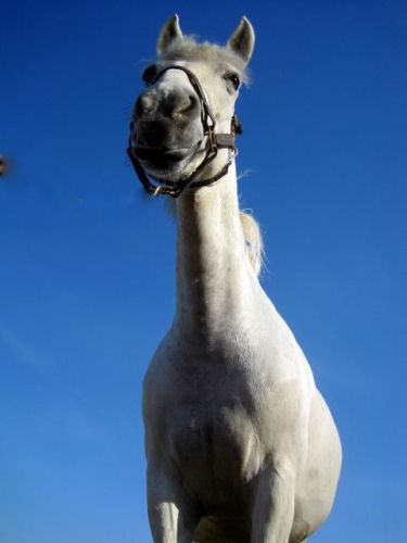copain, la tete dans les nuages =)