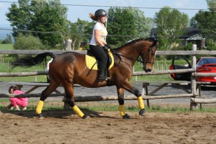 On a encore beaucoup de travail à faire au galop.. En fait, J'AI...