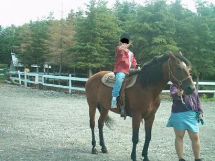 perle une jument de 23 ans quon prenait a la ferme des coteaux a...