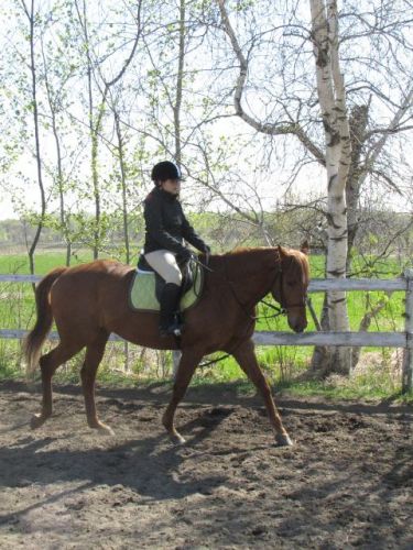 Juste penser à ce cheval là ,comme dans les moments mauvais que...