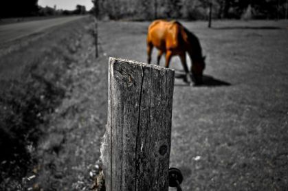 photo par K@te!