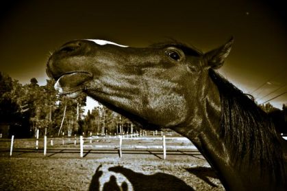 photo par K@te!