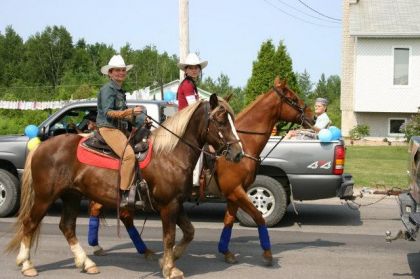 ma mere et son cheval belge croiser canadien newton