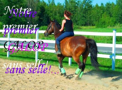  pas besoin de dire de titre...tout est sur la photo lol