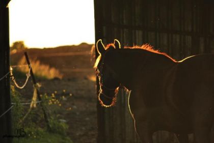 photo par Michou