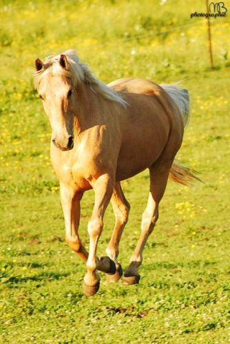 photo par Michou