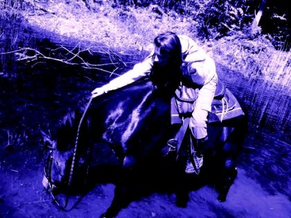 mon horse qui voit et boit la vie en BLEU!!!:)