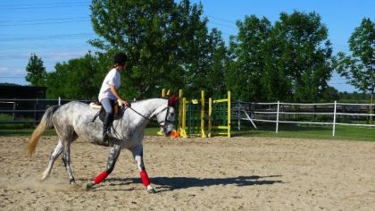 photo par jojo