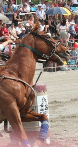 Autour d'un baril en gymkhana