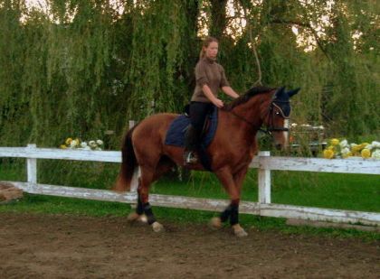 Un peu de manège pour Jolly! :)