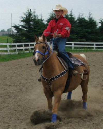 Cheval qui fait un arrêt