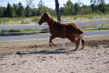 Chex; quel power hihi