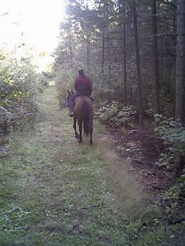 Chrono fait un petit tour dans les bois