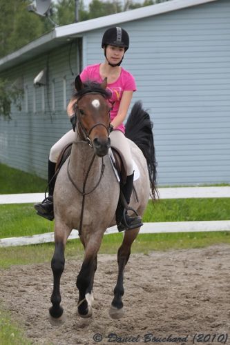Petit galop avant de sauter :)