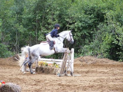 Un cheval E-X-C-E-P-T-I-O-N-N-E-L-L-E