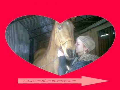 gros bizou