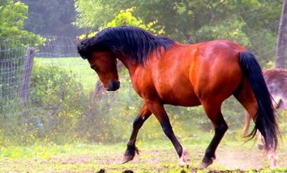 Free qui s'arondi sous le regard des photographes