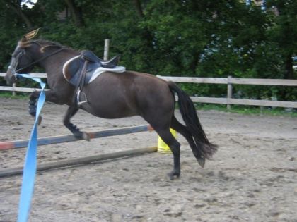hihi! elle chantais surement (I beleve I can fly!)