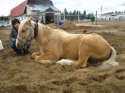 Ma m&egrave;re & mon cheval couch&eacute; :)