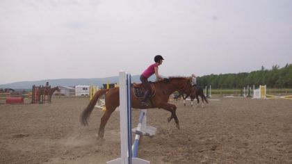 Warm-up: Moi qui sautait dans une autre écurie avec ma jument...