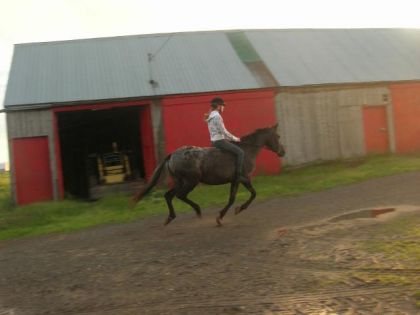 Bugs et moi au galop sans selle ! :)