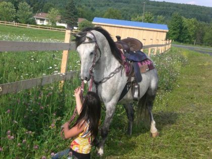 Ouin Dapple ta aps l,aire d'aimer la marguerite