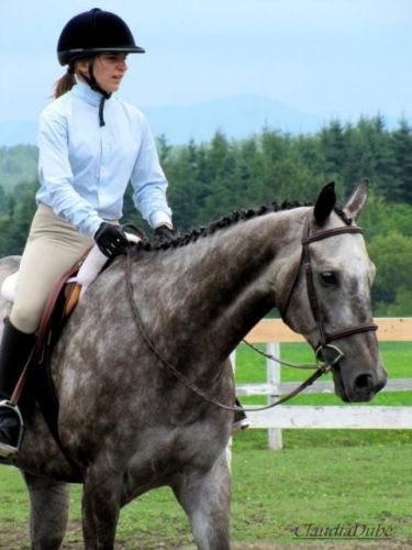 Premier concours de mon cheval ! Réchauffement