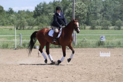 Concours de dressage itinérant samedi dernier Niveau...