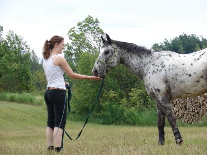 photo par Poutinette