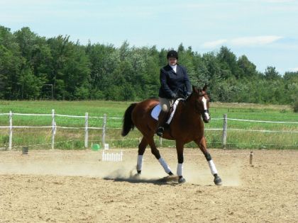 Concours itinérant, niveau entrainement, 3 juillet 2010