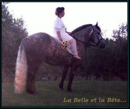 Une autre de mes anciennes photos dans un autre angle. J'adore...